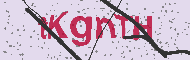 Güvenlik Kodu